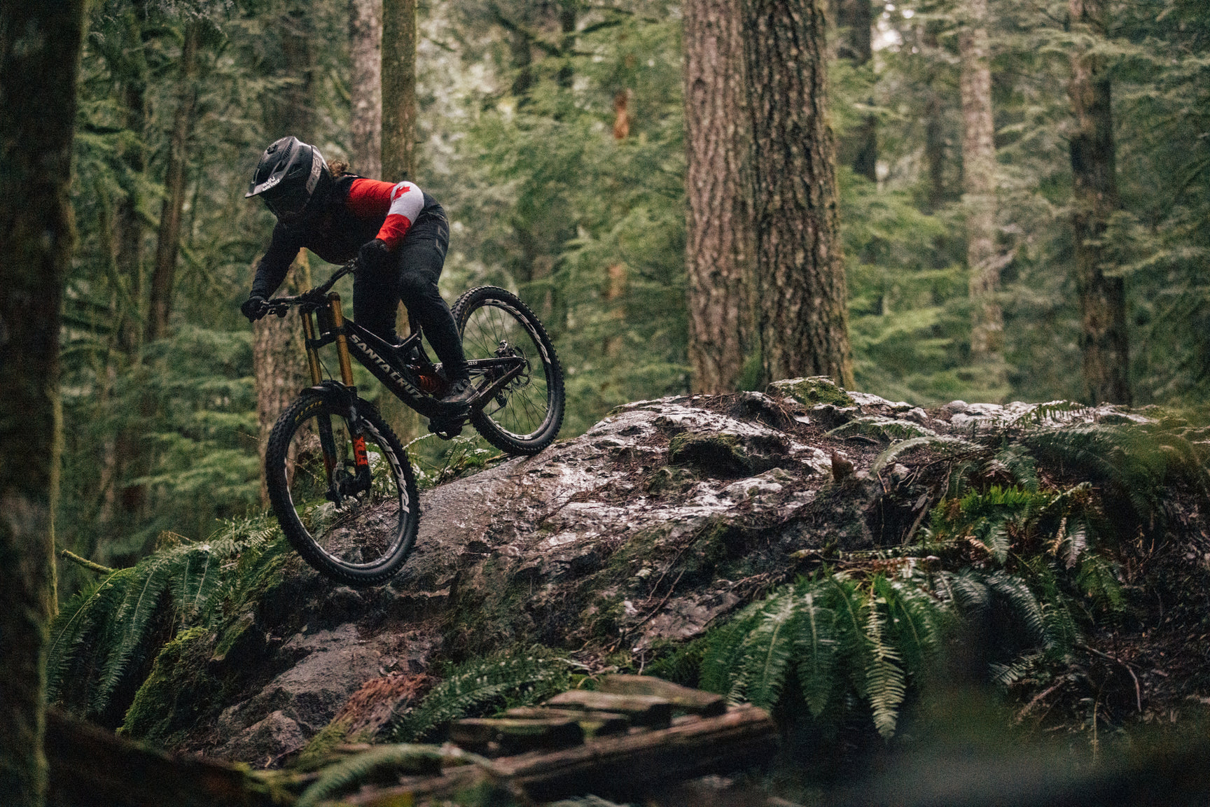 Downhill Mountain Biking Action